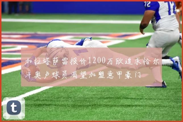 加拉塔萨雷报价1200万欧追求恰尔汗奥卢球员渴望加盟意甲豪门