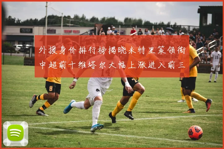 外援身价排行榜揭晓米特里策领衔中超前十维塔尔大幅上涨进入前三